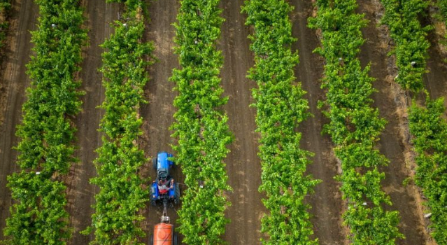 Uttar Pradesh Agriculture Modernization Project